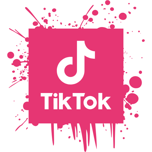 tiktok instagram