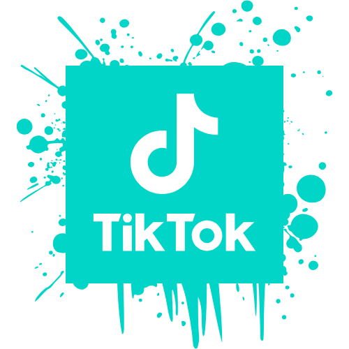 tiktok instagram